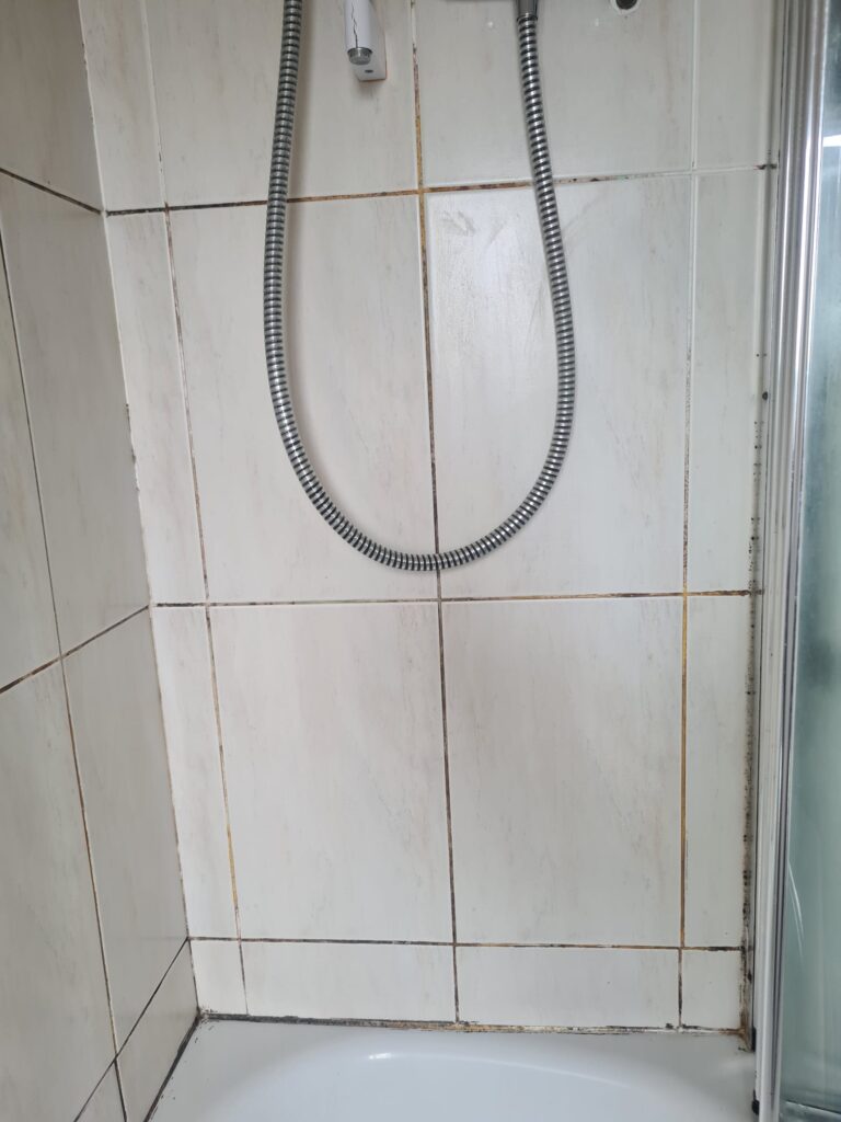 Rental Property Bathroom Tile Grout Before Refresh Bedminster