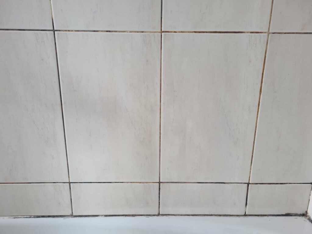 Rental Property Bathroom Tile Grout Before Refresh Bedminster